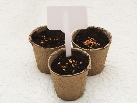 Biodegradable cardboard pots For Cheap