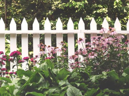 Wooden Fence Supply