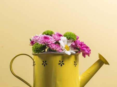 Yellow watering can Sale