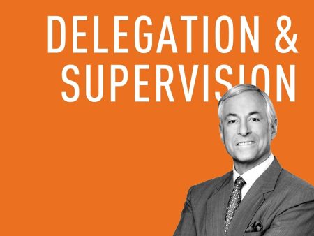 Delegation & Supervision Online Sale