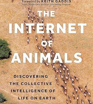 The Internet of Animals: Discovering the Collective Intelligence of Life on Earth Online